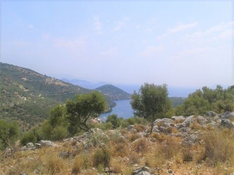 Αγροτεμάχια 4.103τ.μ. για πώληση-Λευκάδα » Απολλώνιο
