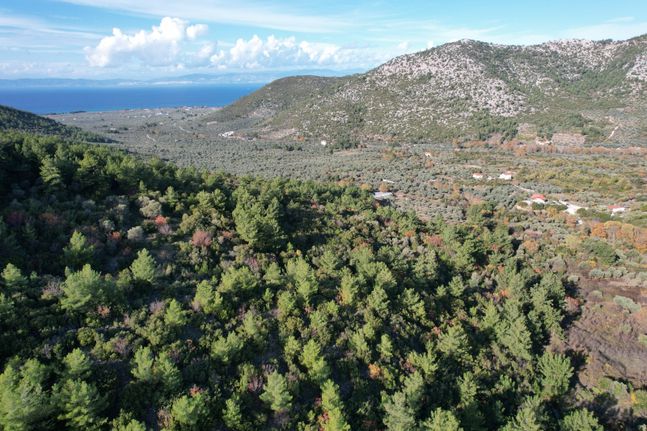 Parcel 21.050 sqm for sale, Kavala Prefecture, Thasos