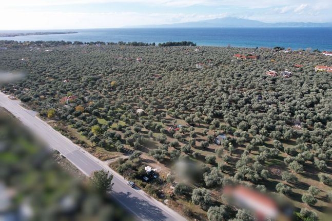 Αγροτεμάχια 344 τ.μ. για πώληση, Ν. Καβάλας, Θάσος