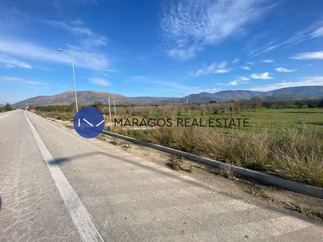 Αγροτεμάχια 11.300 τ.μ. για πώληση