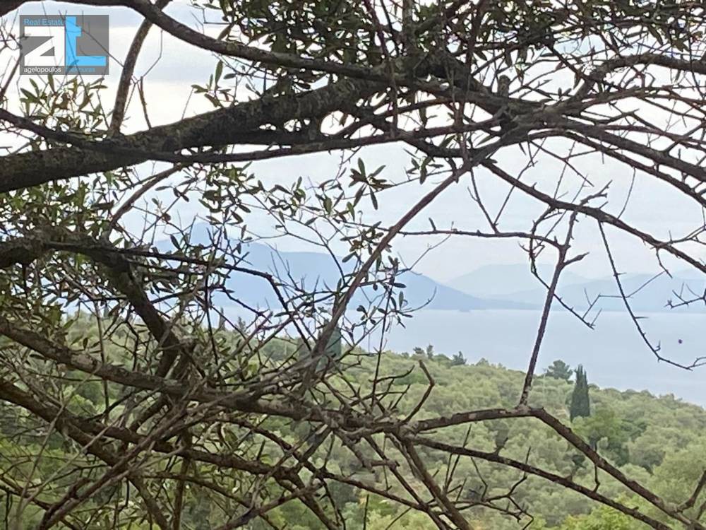 Οικόπεδο 10.000 τ.μ. πρός πώληση, Ν. Λευκάδας, Μεγανήσι