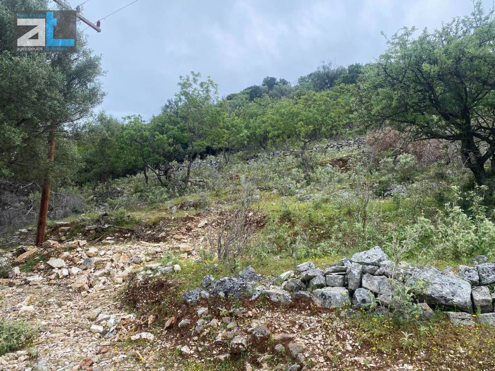 Οικόπεδο 10.000 τ.μ. πρός πώληση, Ν. Λευκάδας, Μεγανήσι
