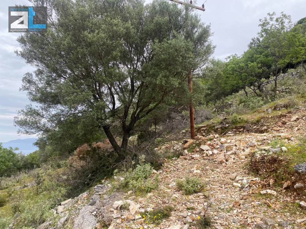 Οικόπεδο 10.000 τ.μ. πρός πώληση, Ν. Λευκάδας, Μεγανήσι