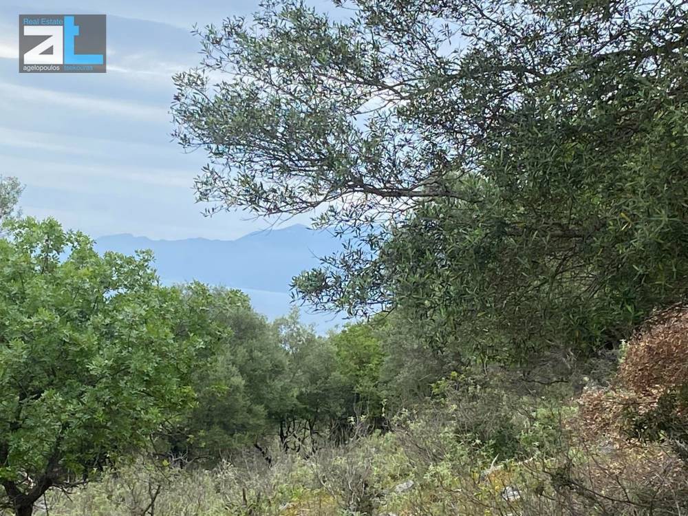 Οικόπεδο 10.000 τ.μ. πρός πώληση, Ν. Λευκάδας, Μεγανήσι