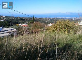 Οικόπεδο 520 τ.μ. για πώληση, Αχαΐα, Μεσσατίδα-thumb-12