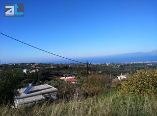 Οικόπεδο 520 τ.μ. για πώληση, Αχαΐα, Μεσσατίδα-thumb-9