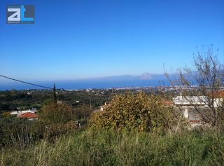 Οικόπεδο 520 τ.μ. για πώληση, Αχαΐα, Μεσσατίδα-thumb-5