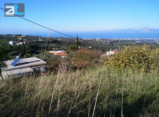 Οικόπεδο 520 τ.μ. για πώληση, Αχαΐα, Μεσσατίδα-thumb-11