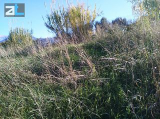 Οικόπεδο 520 τ.μ. για πώληση, Αχαΐα, Μεσσατίδα-thumb-14