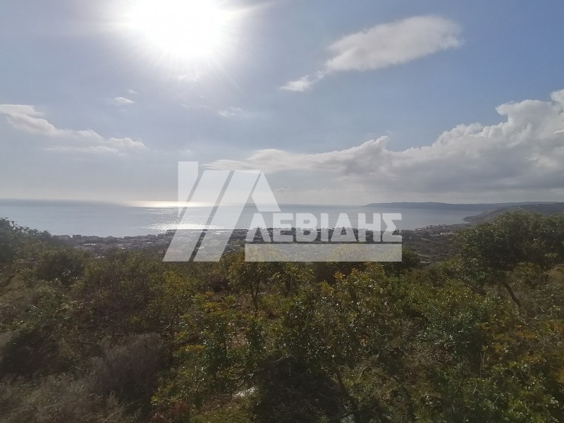 Οικόπεδο 5.247 τ.μ. προς πώληση, Άγιος Μηνάς Χίου