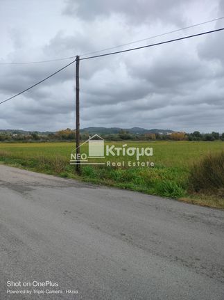 Land plot 4.500 sqm for sale, Ilia, Pirgos