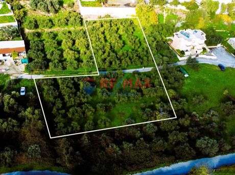 Land plot 2.800sqm for sale-Nea Kidonia » Daratsos