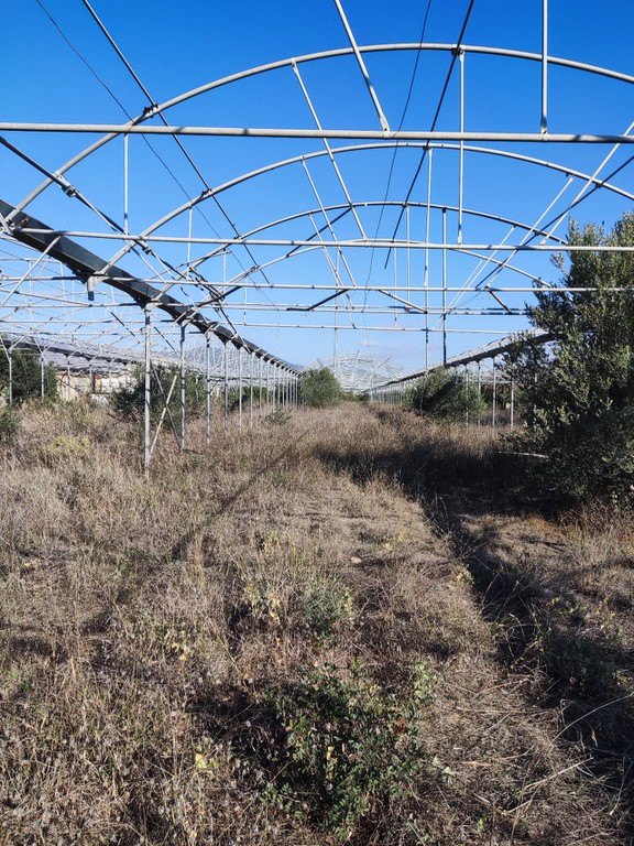 Επαγγελματικό 6.000 τ.μ. πρός ενοικίαση, Αθήνα - Ανατολικά Προάστια, Σπάτα