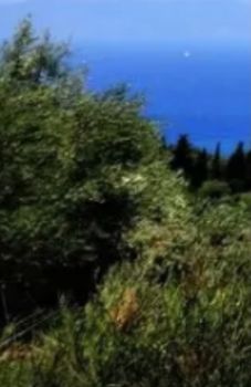 Οικόπεδο 4.820τ.μ. για πώληση-Ιθάκη » Χώρα