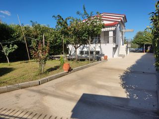 Studio / γκαρσονιέρα 40 τ.μ. για ενοικίαση, Αχαΐα, Αίγιο-thumb-24
