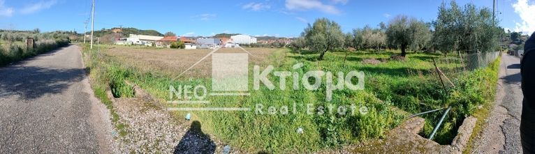 Οικόπεδο 2.640 τ.μ. για πώληση, Ν. Ηλείας, Πύργος