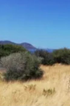 Οικόπεδο 5.260τ.μ. για πώληση-Νάξος - δρυμαλία » Μουτσούνα
