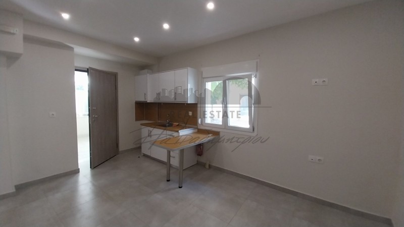Studio / γκαρσονιέρα 33 τ.μ. προς ενοικίαση, Οξυγόνο
