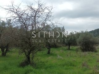 Αγροτεμάχια 692 τ.μ. για πώληση