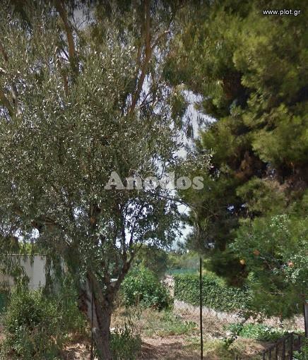 Οικόπεδο 380 τ.μ. προς πώληση, Άνω Μελίσσια