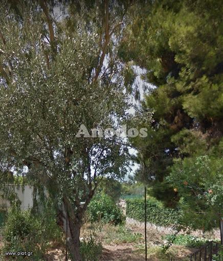 Οικόπεδο 380 τ.μ. προς πώληση, Άνω Μελίσσια
