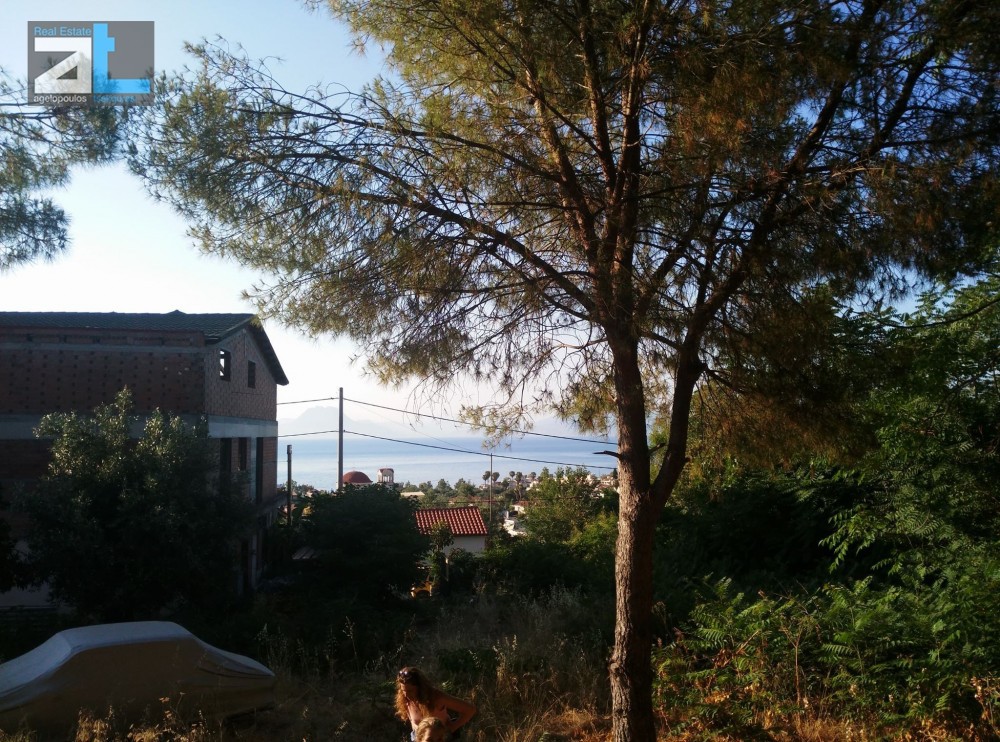 Οικόπεδο 933 τ.μ. προς πώληση, Αχαΐα, Βραχναίικα