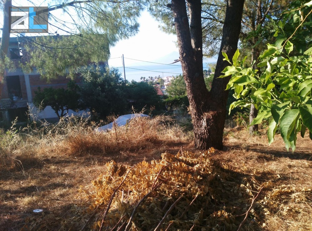 Οικόπεδο 933 τ.μ. προς πώληση, Αχαΐα, Βραχναίικα