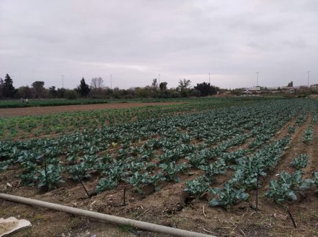 Parcel 2.000sqm for sale-Echedoros » Nea Magnisia