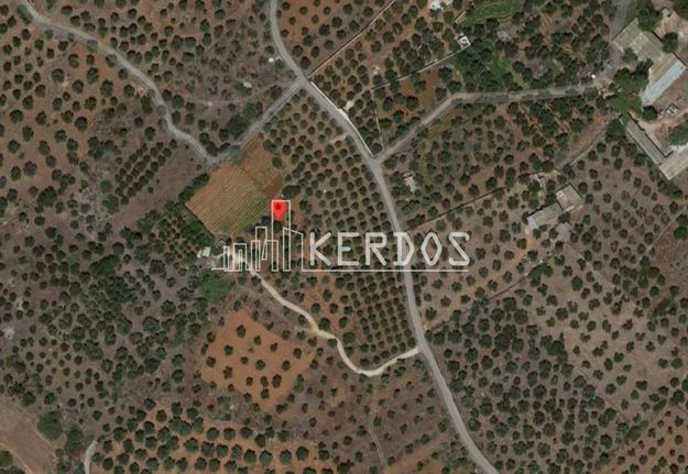Αγροτεμάχια 5.925 τ.μ. για πώληση, Ν. Χανίων, Ακρωτήρι