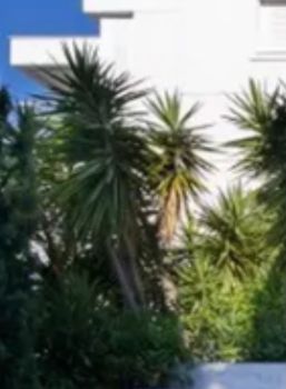 Μονοκατοικία 400τ.μ. για πώληση-Παλαιά φώκαια » Κέντρο