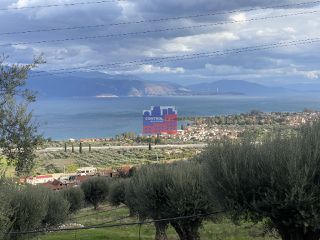 Αγροτεμάχια 8.660 τ.μ. για πώληση, Αχαΐα, Αιγιάλεια-thumb-13