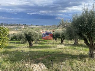 Αγροτεμάχια 8.660 τ.μ. για πώληση, Αχαΐα, Αιγιάλεια-thumb-14