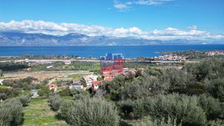 Αγροτεμάχια 8.660 τ.μ. για πώληση