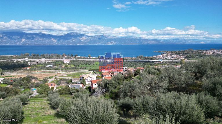 Αγροτεμάχια 8.660 τ.μ. για πώληση, Αχαΐα, Αιγιάλεια