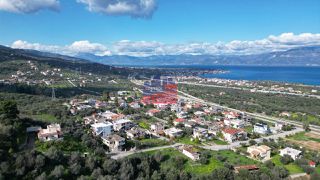 Αγροτεμάχια 8.660 τ.μ. για πώληση, Αχαΐα, Αιγιάλεια-thumb-5