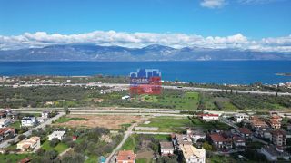 Αγροτεμάχια 8.660 τ.μ. για πώληση, Αχαΐα, Αιγιάλεια-thumb-6
