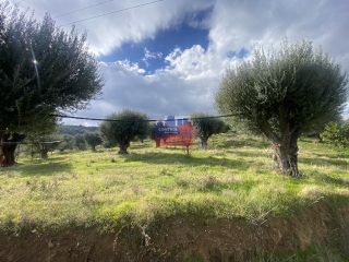 Αγροτεμάχια 8.660 τ.μ. για πώληση, Αχαΐα, Αιγιάλεια-thumb-12
