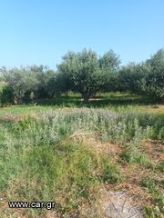 Πράσινες δεξιότητες-thumb-21