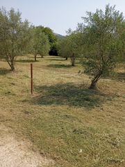 Πράσινες δεξιότητες-thumb-25