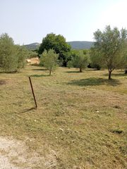 Πράσινες δεξιότητες-thumb-26