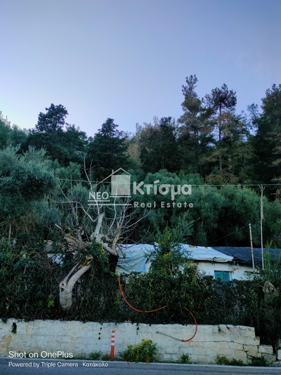Οικόπεδο 549 τ.μ. προς πώληση, Κατάκολο