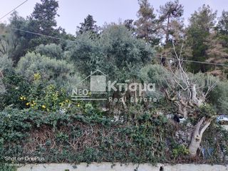 Οικόπεδο 549 τ.μ. για πώληση, Ν. Ηλείας, Πύργος-thumb-11