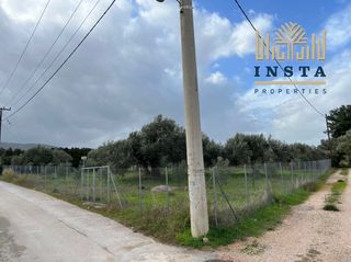 Αγροτεμάχια 1.670 τ.μ. για πώληση