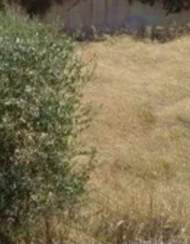 Οικόπεδο 360τ.μ. για πώληση-Άλιμος » Κέντρο