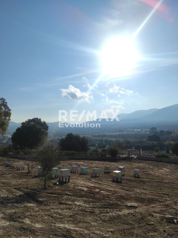 Μονοκατοικία 520 τ.μ. πρός πώληση, Αττική - Υπόλοιπο, Καλύβια Θορικού