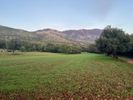 Parcel 6.543sqm for sale-Kefalonia » Leivatho