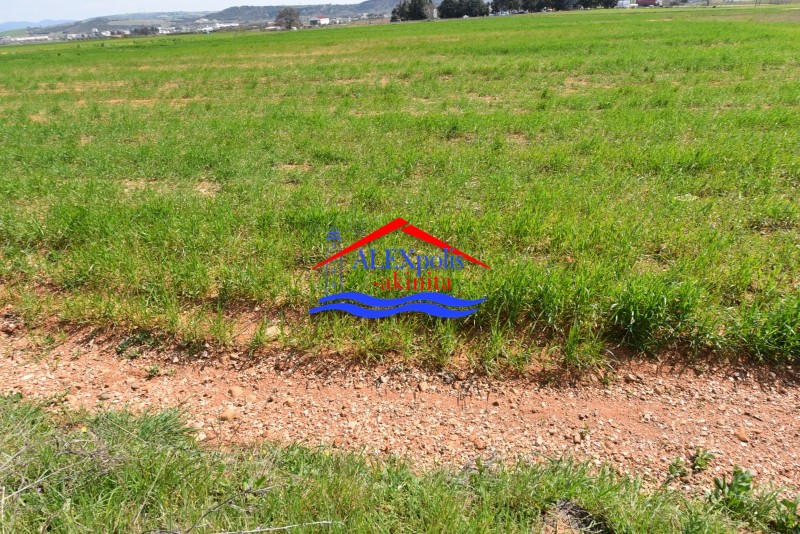 Αγροτεμάχια 4.201 τ.μ. προς ενοικίαση, Εβρος, Αλεξανδρούπολη