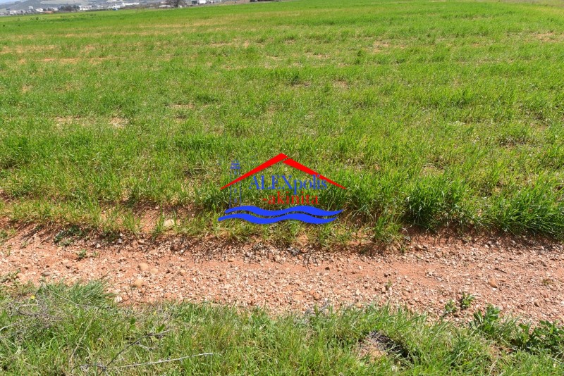Αγροτεμάχια 4.201 τ.μ. προς ενοικίαση, Εβρος, Αλεξανδρούπολη