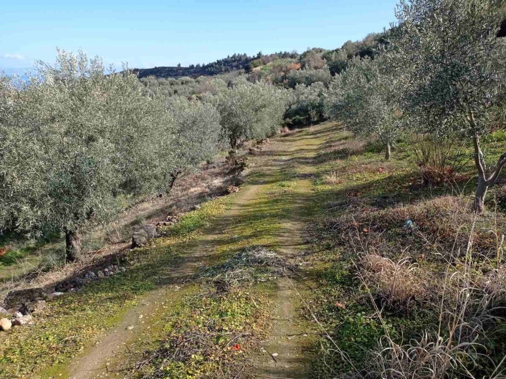 Αγροτεμάχια 4.800 τ.μ. πρός πώληση, Κορινθία, Ξυλόκαστρο