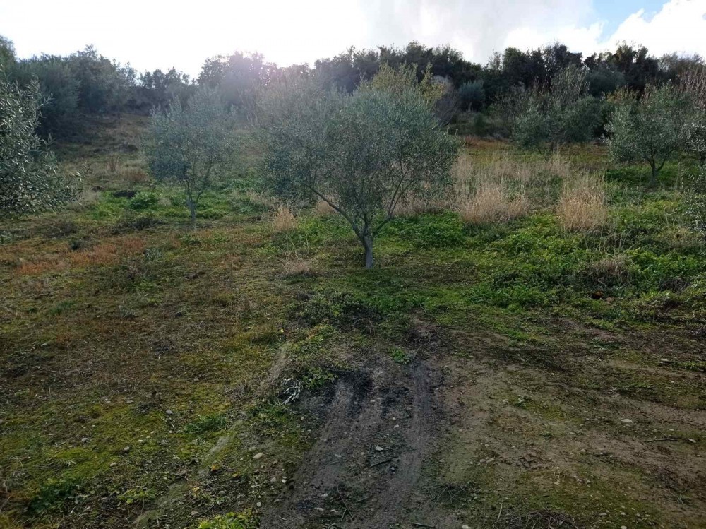 Αγροτεμάχια 4.800 τ.μ. πρός πώληση, Κορινθία, Ξυλόκαστρο